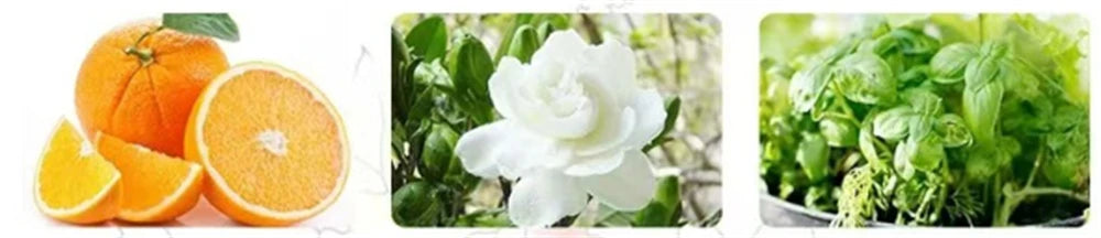 Parfum floral frais et naturel pour femme, nouilles phéromones de marque, coffret cadeau, haute qualité, 95ml, ensemble de 4 pièces